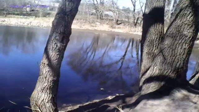 Вот так сегодня выглядит озеро, район ВАИ смотреть онлайн