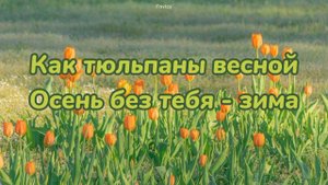 ||• Расцветай •|| ~The Adresov ~