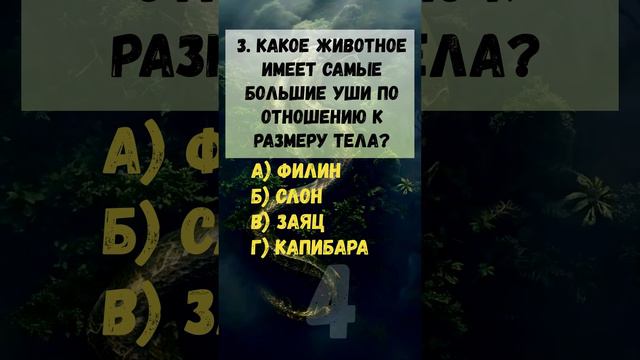 Пройди тест "Факты о животных" #приколанлия #приколандия #викторина #prikolanlia #test #тесты