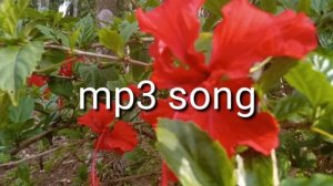 Achik git ringani No 151 mp3 song