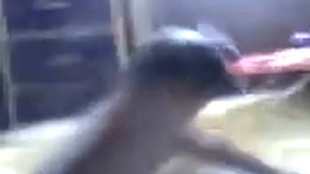 Nega(6) смотреть онлайн