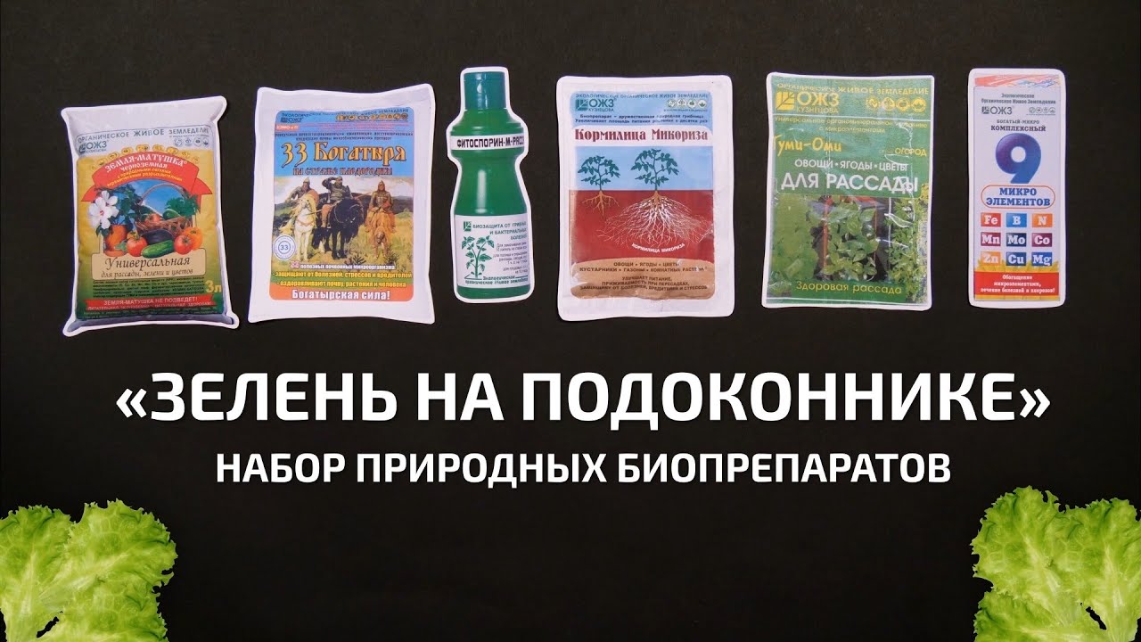 Набор  для выращивания зелени / Что нужно, чтобы вырастить мини-огород в квартире?