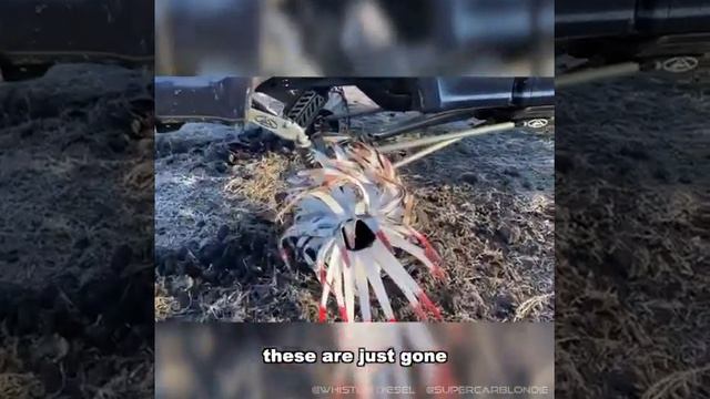 Supercar blondie - amazing part 1 смотреть онлайн