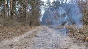 ✅?Взрываем Гранаты и разные БОМБОЧКИ?Принес Большой Набор ПЕТАРД и все ВЗОРВАЛ?Страйкбольные гранат