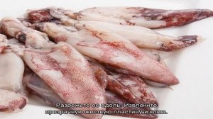 Как приготовить тушку кальмара