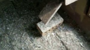 голубятня своими руками