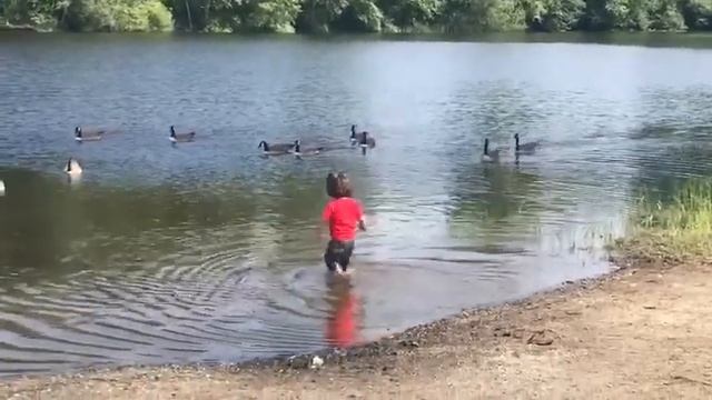 Море, море - мир бездонный...