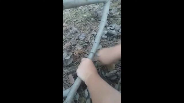 Саня пилит ветку 10 минут