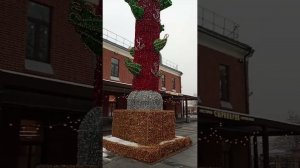 Москва. Гостиница Столичная. Прогулка по городу.