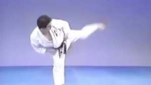 40 - Удары ногами - Уширо Гери