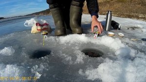 ловля ельца на опарыша , река белая ,подледный лов