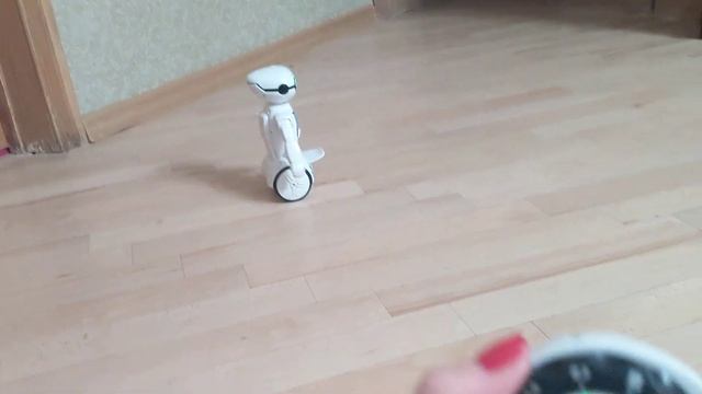 Макробот и покибот роботы. Обзор