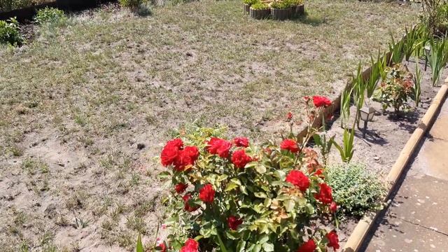 Дачи в Германии. Немецкая дача. смотреть онлайн