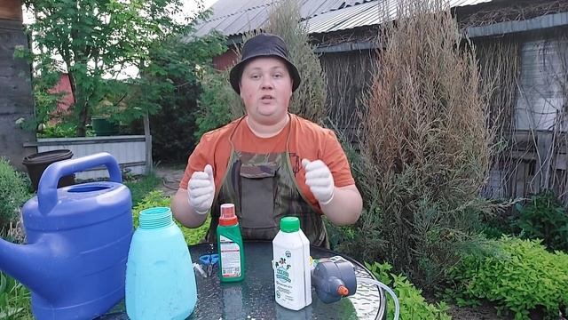 Спасаем хвойные после зимы//Самый лучший рецепт!!! смотреть онлайн