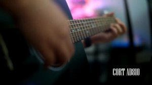 YAMAHA AF310 VS CORT AD810