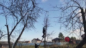 Обрезаем и обрабатываем деревья. Большая уборка в гараже.