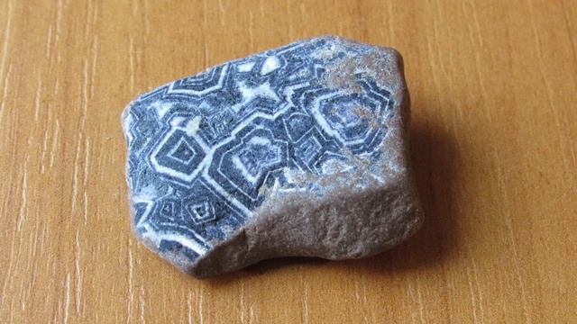 АМЕТИСТОВЫЙ берег, или ПИРАТЫ Белого моря смотреть онлайн