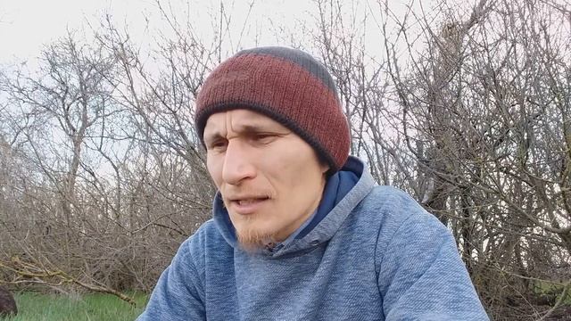 Селекция собак. Клещи и чума - не вердикт? смотреть онлайн