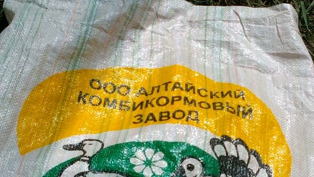 Утки. Черри-велли и муларды! Кого выбрать? Какой прирост в весе к 40 дням? Какие условия содержания