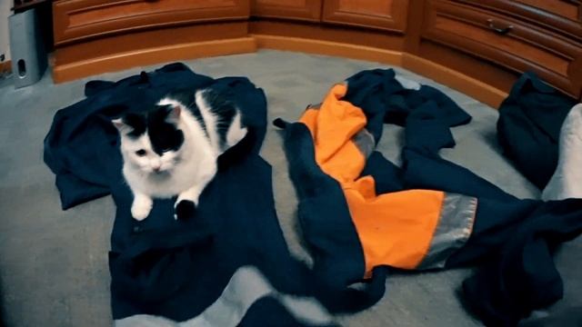 совместные покупки, брюки превращаются ....