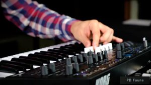 Korg Wavestate 2: Ambient Jam. 50 Presets/Performances (Pad, Strings, Textures)