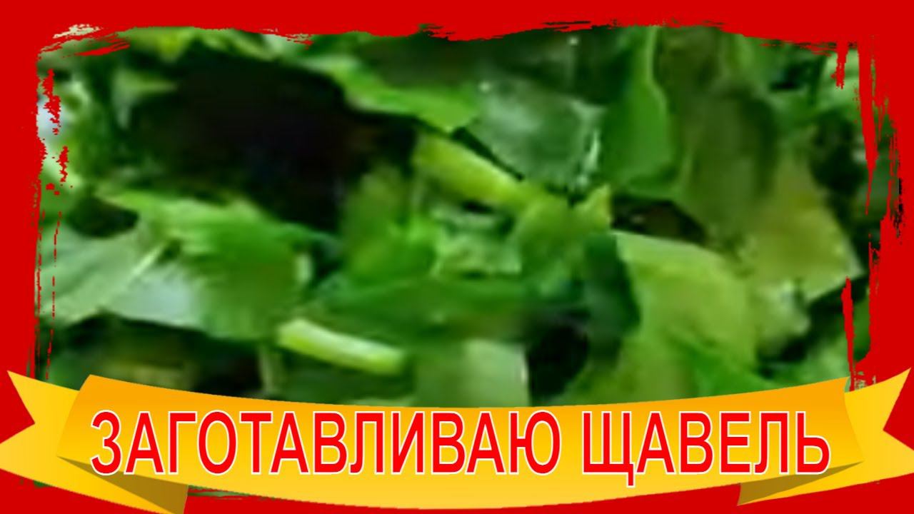 Консервация Щавеля без Соли проверенный рецепт /Заготовки / Заготавливаем Щавель на Зиму.