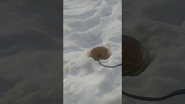 Кипятим дизель смотреть онлайн