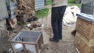 Основное правило начинающего пчеловода. Сколько ульев должно быть на пасеке с пчелами и в резерве