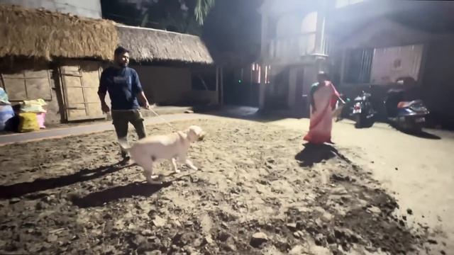 লক্ষীপূজোর দিন সবার মুখে একটাই কথা এসো মা লক্ষী পপির ঘরে || popi kitchen vlog смотреть онлайн