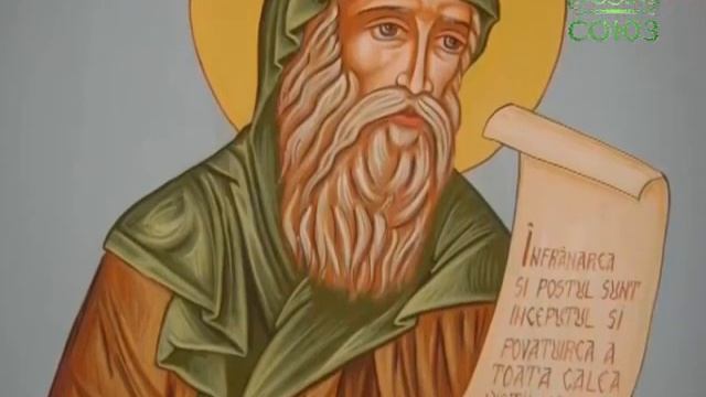 Церковный календарь | 8 мая Преподобный Василий Поляномерульский смотреть онлайн