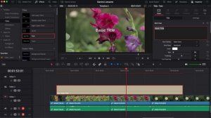 Водяной знак в Davinci Resolve