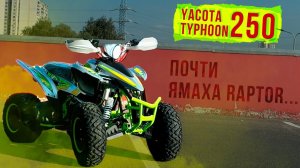 ОБЗОР КВАДРОЦИКЛА ДЛЯ НАЧИНАЮЩИХ YACOTA TYPHOON 250. Новый квадроцикл в мотосалоне КВАДРОТЕХНИКА!