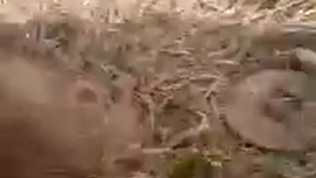 конина троянского коня