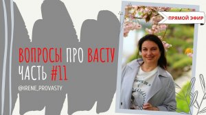 Стоит ли экономить на консультации при строительстве? Ответы на вопросы про Васту  Часть 11
