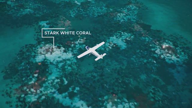 Assessing coral bleaching events on the Great Barrier Reef смотреть онлайн