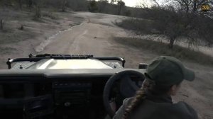 safariLIVE - Sunset Safari - October 11, 2019