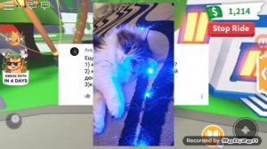 ОТВЕЧАЮ НА ВАШИ ВОПРОСЫ?🤨 ВОПРОС/ОТВЕТ❤ О НЕТ, Я БАНКРОТ😢