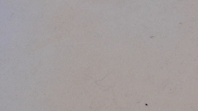 Инструмент для перфорации наклейки Tip-Pik Gold - billiard-mag.com смотреть онлайн