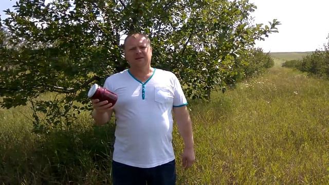 Вишня, вишня в собственном соку 100% натуральный продукт из Крыма