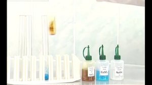 Основные классы неорганических соединений. Опыт 2 ч.2. Взаимодействие нерастворимых оснований