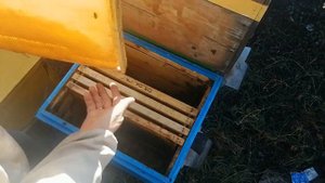 Сборка гнезда слабых отводков на маломедных рамках.