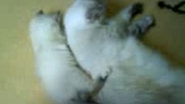 невские маскарадные смотреть онлайн