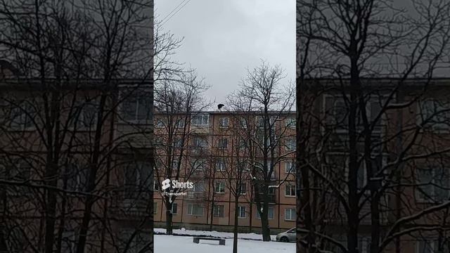 Откалывание сосулек и чистка крыши от снега без страховки #Shorts #крыша #крышадома #дом #дома