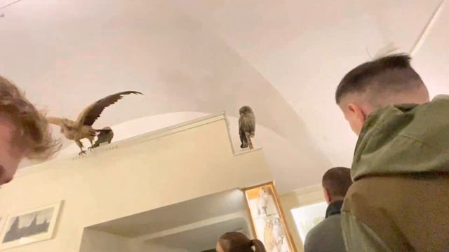 НОЧЬ В МУЗЕЕ/заставили читать стих/ выиграли приз?? смотреть онлайн