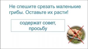 Предложение. Тема 4. Предложение. Предложение повествовательное, вопросительное, побудительное