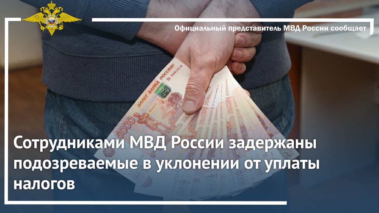 Сотрудниками МВД России задержаны подозреваемые в уклонении от уплаты налогов