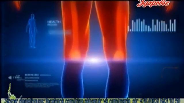 Вся правда о экологии. Как мы влияем на неё!