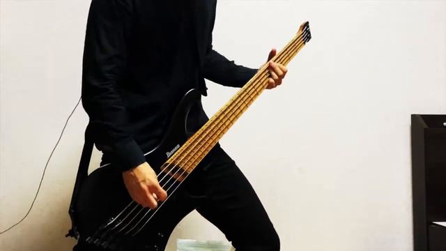 Bullet For My Valentine - Parasite  ||  Bass Cover смотреть онлайн