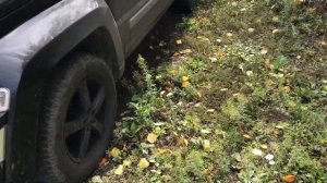 Диагностика подвески Jeep Cherokee KK 2008г 3.7 АТ 205 л с 4х4