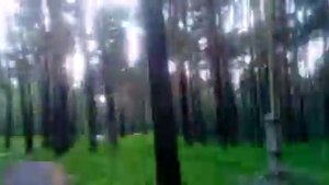 Тропа здоровья в г. Берёзовский.